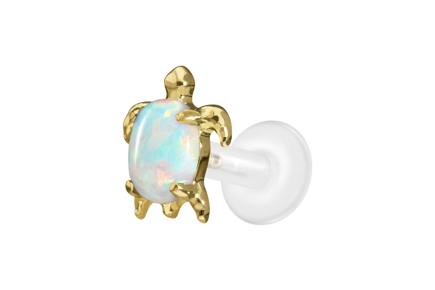 PTFE Labret Piercing mit Innengewinde + Titan-Aufsatz SCHILDKRÖTE
